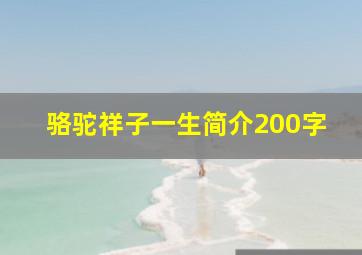 骆驼祥子一生简介200字