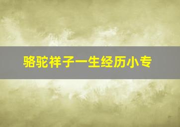 骆驼祥子一生经历小专