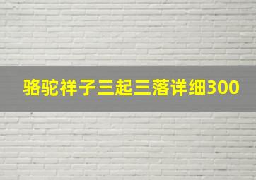 骆驼祥子三起三落详细300