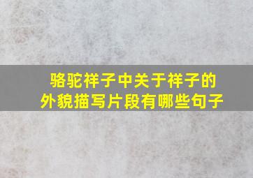 骆驼祥子中关于祥子的外貌描写片段有哪些句子