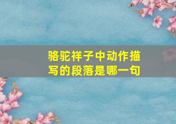 骆驼祥子中动作描写的段落是哪一句