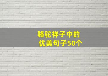 骆驼祥子中的优美句子50个