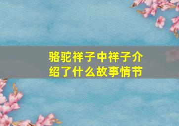 骆驼祥子中祥子介绍了什么故事情节