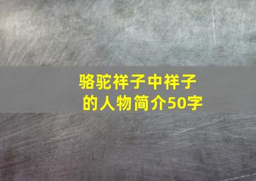 骆驼祥子中祥子的人物简介50字