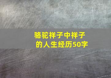 骆驼祥子中祥子的人生经历50字