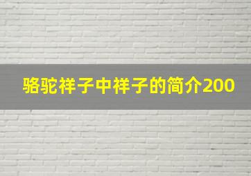 骆驼祥子中祥子的简介200