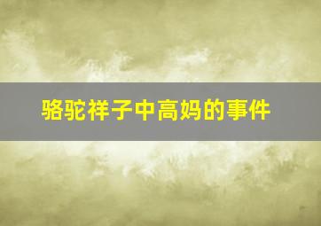 骆驼祥子中高妈的事件