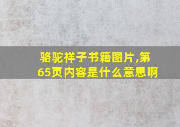 骆驼祥子书籍图片,第65页内容是什么意思啊