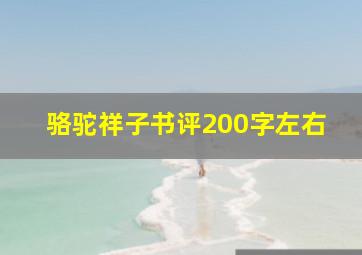 骆驼祥子书评200字左右