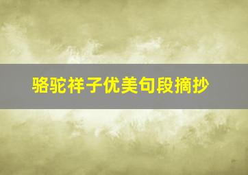 骆驼祥子优美句段摘抄