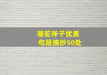 骆驼祥子优美句段摘抄50处