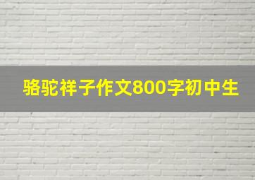 骆驼祥子作文800字初中生