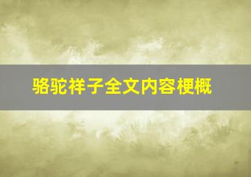 骆驼祥子全文内容梗概