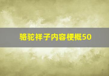 骆驼祥子内容梗概50