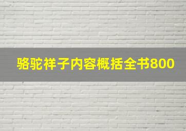 骆驼祥子内容概括全书800