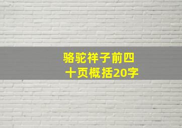 骆驼祥子前四十页概括20字