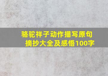 骆驼祥子动作描写原句摘抄大全及感悟100字