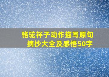 骆驼祥子动作描写原句摘抄大全及感悟50字