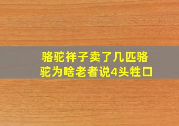 骆驼祥子卖了几匹骆驼为啥老者说4头牲口