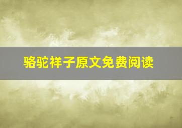 骆驼祥子原文免费阅读