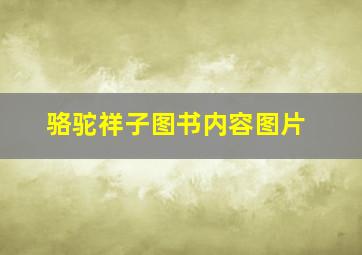 骆驼祥子图书内容图片