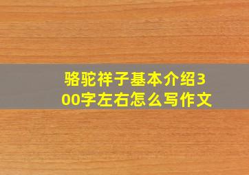 骆驼祥子基本介绍300字左右怎么写作文