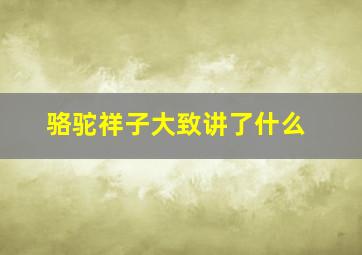 骆驼祥子大致讲了什么