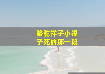 骆驼祥子小福子死的那一段