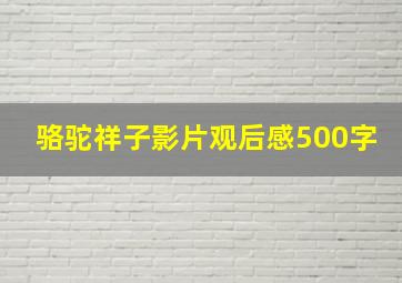 骆驼祥子影片观后感500字