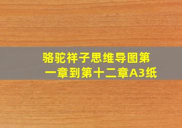 骆驼祥子思维导图第一章到第十二章A3纸