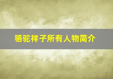 骆驼祥子所有人物简介