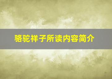 骆驼祥子所读内容简介