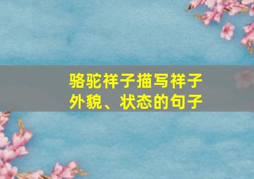 骆驼祥子描写祥子外貌、状态的句子