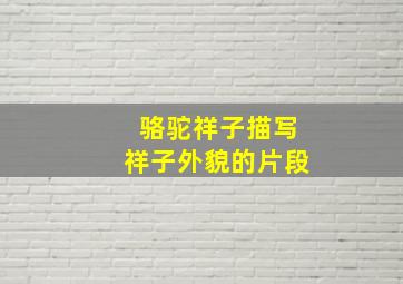 骆驼祥子描写祥子外貌的片段