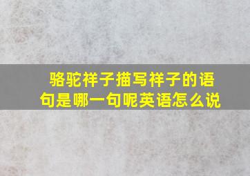 骆驼祥子描写祥子的语句是哪一句呢英语怎么说