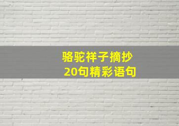 骆驼祥子摘抄20句精彩语句