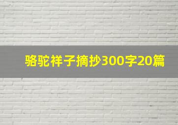 骆驼祥子摘抄300字20篇