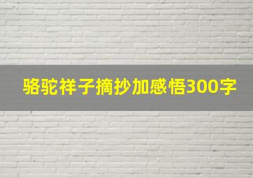 骆驼祥子摘抄加感悟300字