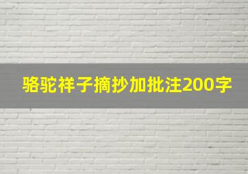 骆驼祥子摘抄加批注200字