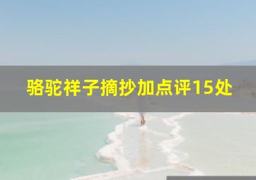 骆驼祥子摘抄加点评15处