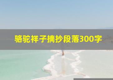 骆驼祥子摘抄段落300字