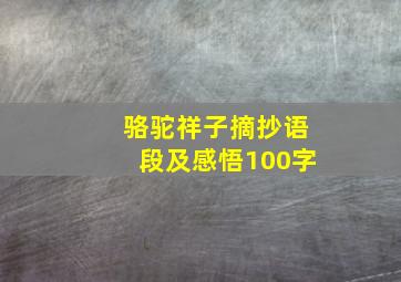 骆驼祥子摘抄语段及感悟100字