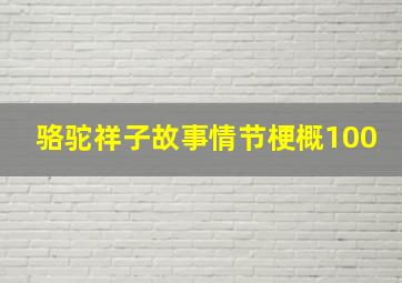 骆驼祥子故事情节梗概100