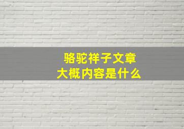 骆驼祥子文章大概内容是什么