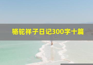 骆驼祥子日记300字十篇