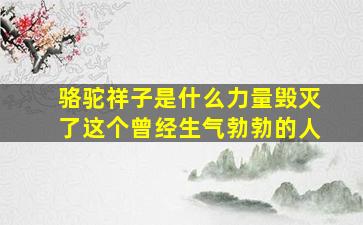 骆驼祥子是什么力量毁灭了这个曾经生气勃勃的人