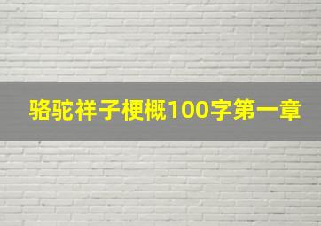 骆驼祥子梗概100字第一章