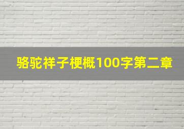 骆驼祥子梗概100字第二章