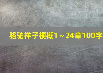 骆驼祥子梗概1～24章100字