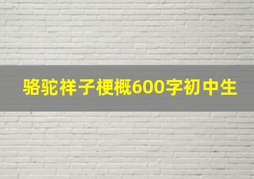 骆驼祥子梗概600字初中生